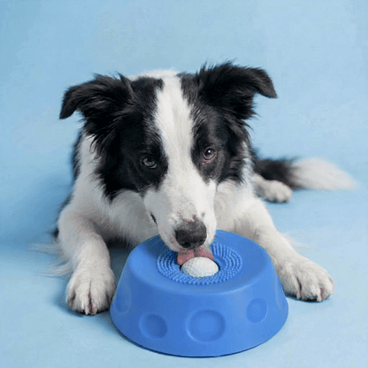 Fivvra™ Anxiety Slow Feeder Bowl