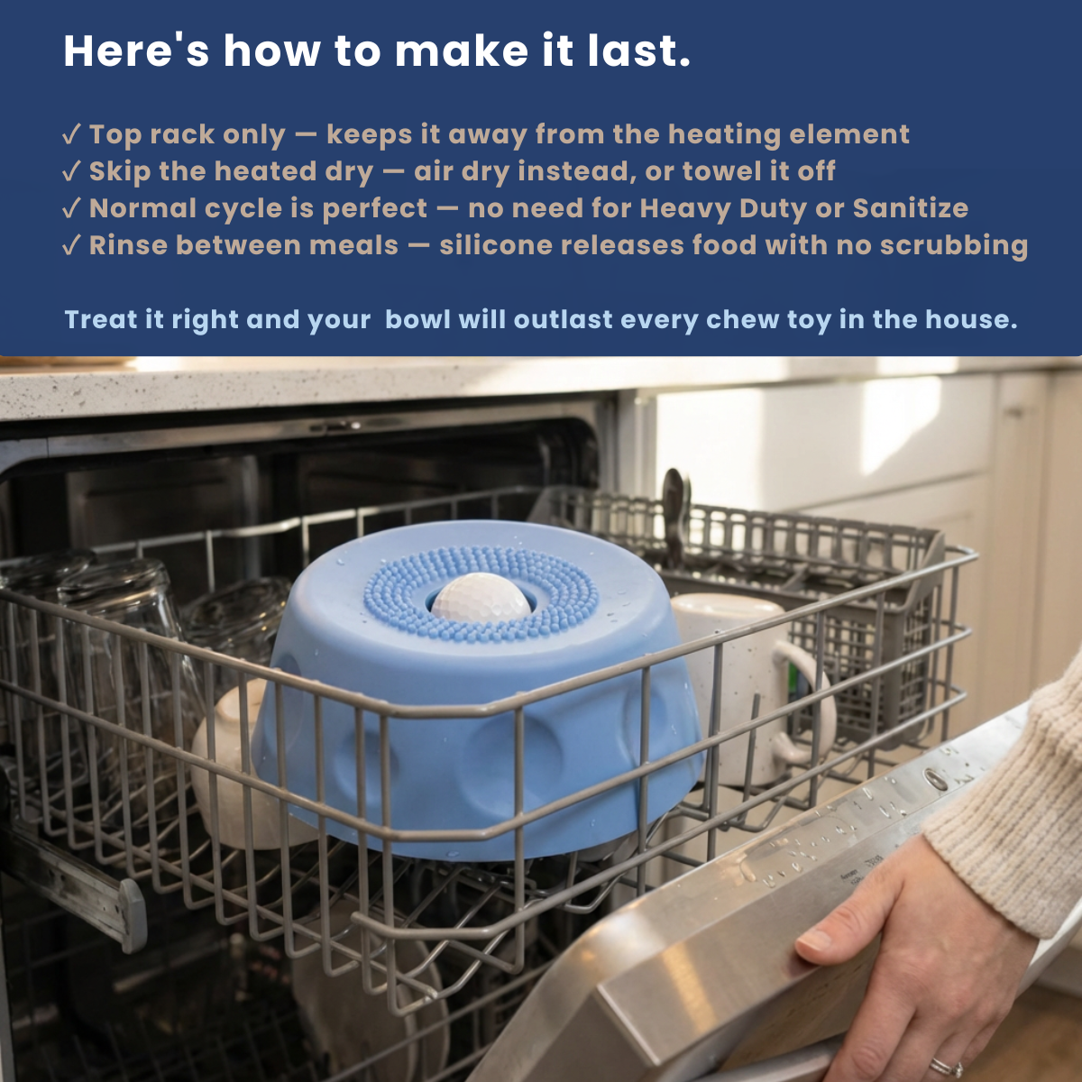 Fivvra™ Anxiety Slow Feeder Bowl