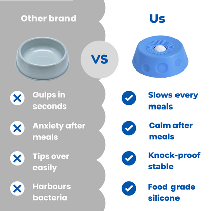 Fivvra™ Anxiety Slow Feeder Bowl