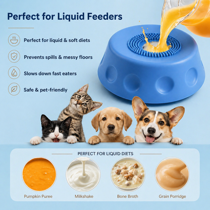 Fivvra™ Anxiety Slow Feeder Bowl